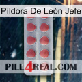 Píldora De León Jefe 18